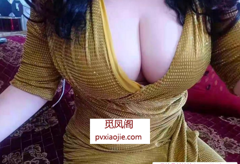 沈阳巨乳金善姐姐